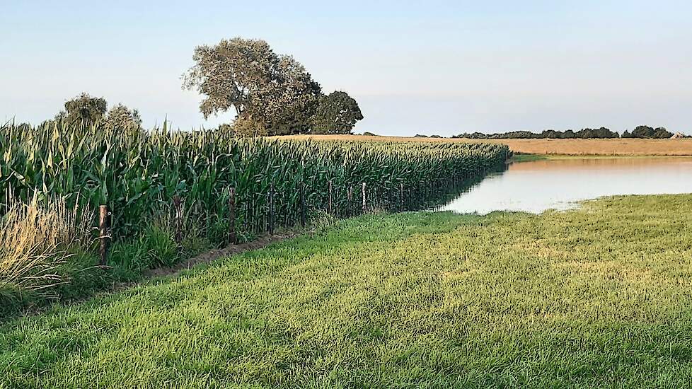 Afbeelding ter illustratie, deze foto is niet gemaakt in Friesland.