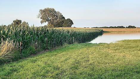 Afbeelding ter illustratie, deze foto is niet gemaakt in Friesland.