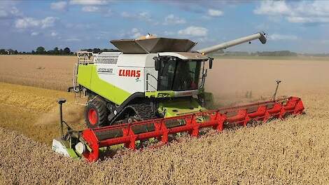 Combinen met de CLAAS Lexion 600. Edens Nieuw Beerta.