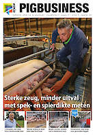 Cover Vakblad Pig Business › Editie 2021-06