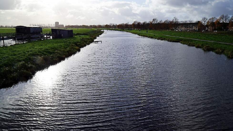 Doordat de uitspoeling van de stikstof- en fosforconcentraties (dierlijke en kunstmest) naar het oppervlaktewater halveerde, nam het aantal individuen van de meeste groepen insecten toe.