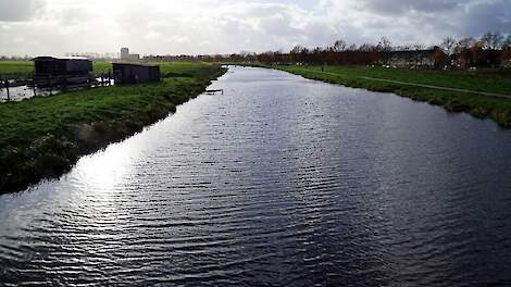 Doordat de uitspoeling van de stikstof- en fosforconcentraties (dierlijke en kunstmest) naar het oppervlaktewater halveerde, nam het aantal individuen van de meeste groepen insecten toe.