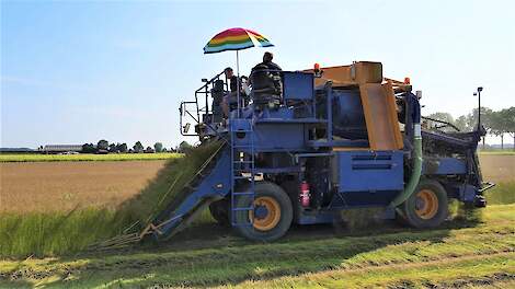 Vlas plukken | Union vlasplukker | Harvesting flax | Flachs ernten | Récolter le lin | Oogst 2021