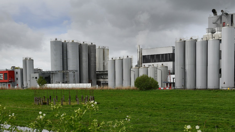 De kaasfabriek van FrieslandCampina in Workum.