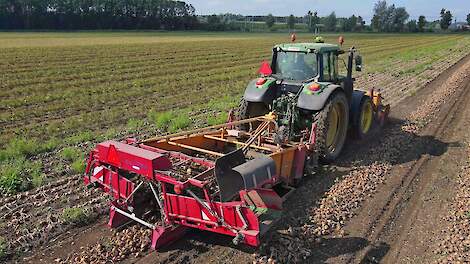 Uien rooien | Harvesting onions | Zwiebeln roden | MacLouis | Keulmac | 2 x John Deere | Uienoogst
