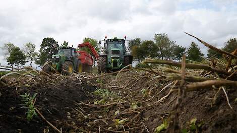 zetmeelaardappelen rooien