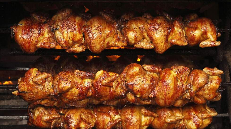 Meerdere Belgische kippenverkopers, met name poeliers, hekelen dat er te weinig lichte vleeskuikens (braadkippen) op de Belgische markt zijn voor onder meer de kip-aan-het-spit kramen.