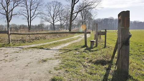 Weiland op de grens met een natuurgebied in Utrecht.