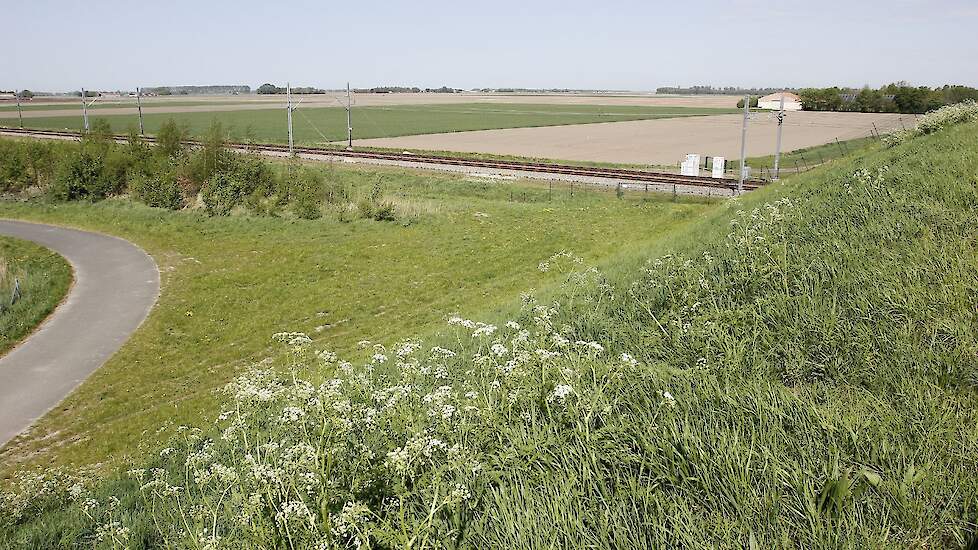 Landbouwgebied in Flevoland.