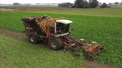 Suikerbieten rooien | Sugar beet harvest | Zuckerrüben roden | Agrifac | ZA 215 | Bietenoogst 2021