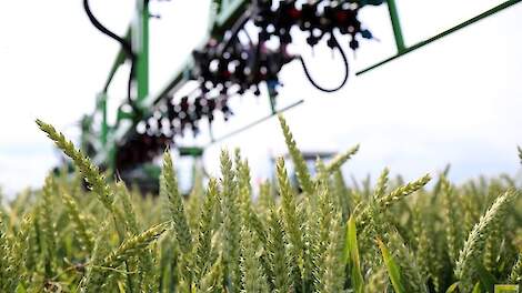 „Er is niks duurzaams aan het telen van groenten en fruit, alle inputs te geven, water, mest, zaad, arbeid, etc en vervolgens deze producten te laten vergaan door een of andere plaag van insect, schimmel of onkruid."