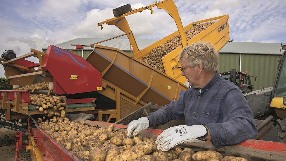 Brooijmans rooide begin oktober zijn laatste aardappelen.