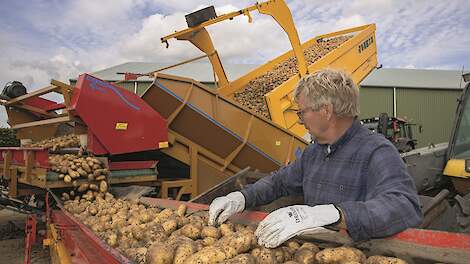 Brooijmans rooide begin oktober zijn laatste aardappelen.