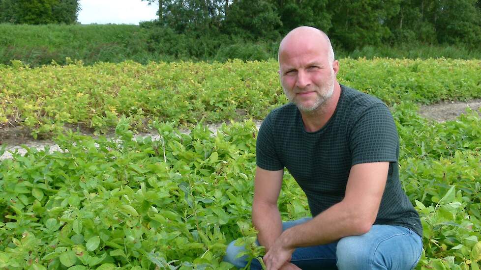 Wim Sparreboom, akkerbouwer in Stad aan ’t Haringvliet