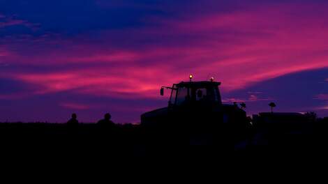 Onder het avondrood zaaide akkerbouwer Hendrik Kerkhofs wintertarwe van het ras Chevignon.