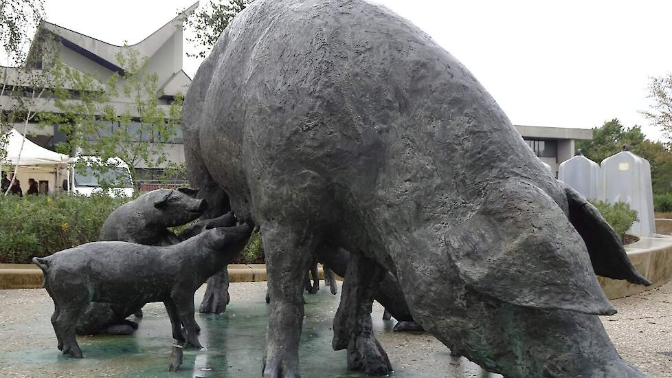 Standbeeld van een zeug met biggen voor het Brabantse Provinciehuis.