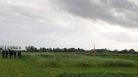 Demoveldjes groenbemesters Westmaas op de Groenbemestersdag 20 oktober 2021