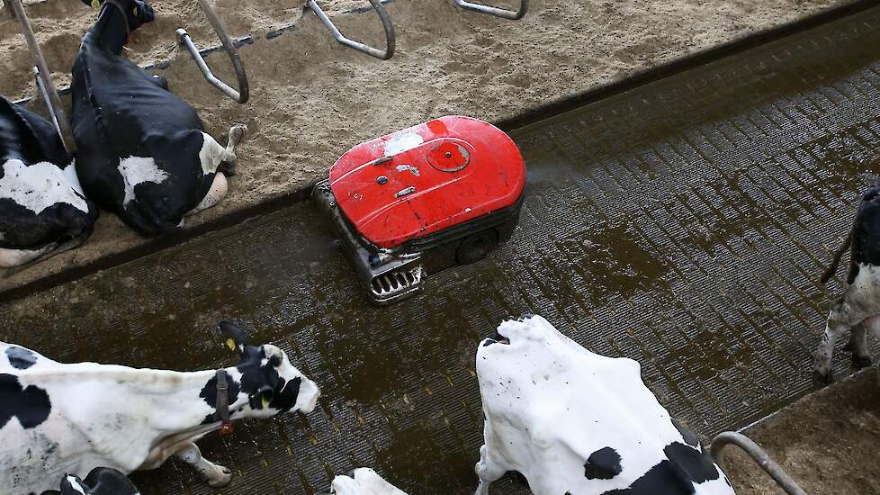 De Lely Collector, de mestopraaprobot, kan 300 liter verse koeienmest naar binnen slurpen. De roosterspleten zijn dicht gemaakt met geperforeerde metalen strips.