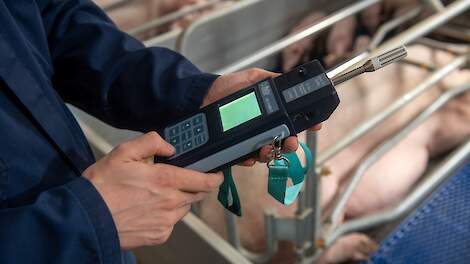 Het onderzoek naar blootstelling aan stalstof geeft varkenshouders te weinig praktische handvatten om verbeteringen door te voeren, vindt de POV.