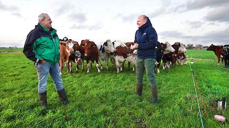 Harmen (links) en zoon Jacob van der Bij hebben een melkveebedrijf op veenweide in Aldeboarn. Sinds de achttiende eeuw wordt in dit gebied geboerd.