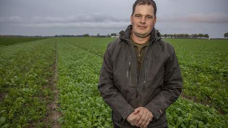 Pieter Maris bij een groenbemester die is gezaaid met behulp van het rijpadensysteem.