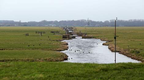 Waarom kondigt LNV generiek beleid af terwijl veel gebieden in Nederland goed op de kaart staan wat betreft de waterkwaliteit?, is één van de veelgehoorde kritieken op het nitraatplan.