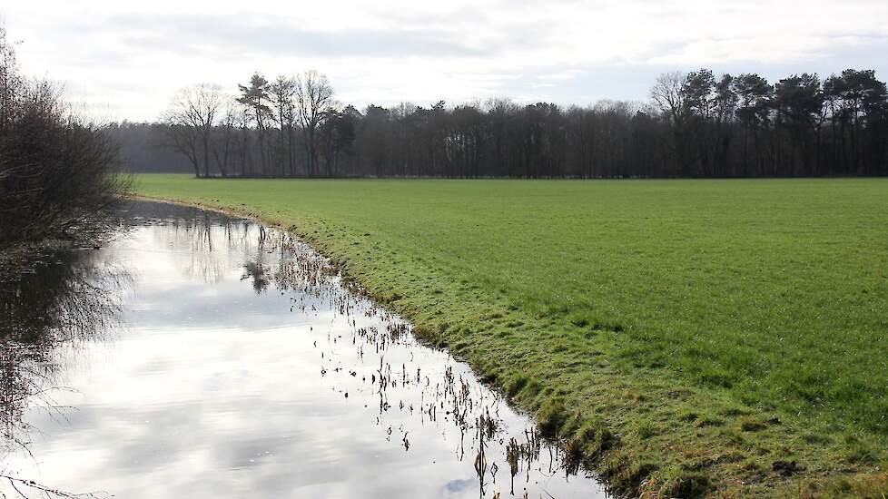 Waarom kondigt LNV generiek beleid af terwijl veel gebieden in Nederland goed op de kaart staan wat betreft de waterkwaliteit?, is één van de veelgehoorde kritieken op het nitraatplan.