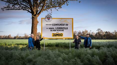 Cees van Vliet, COO van Jumbo plaatst samen met Jolanda Nooijen, René van Bakel en Peer Schraven van Compliment het bord in een venkelveld. Jumbo werkt al meer dan 15 jaar samen met Compliment uit Volkel.