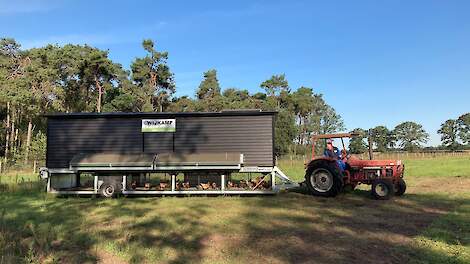 De ophokplicht voor pluimvee geldt ook voor mobiele pluimveestallen