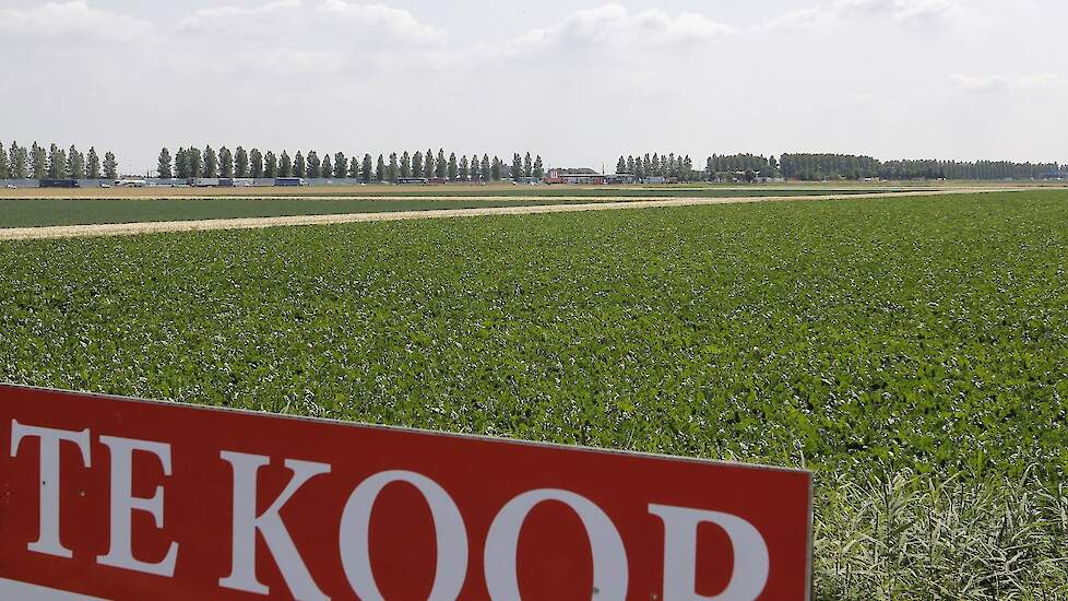 Warnsveldse Land van Ons roept burgers op landbouwgrond te kopen | Vee-en-Gewas.nl Landbouwnieuws voor Oost-Nederland
