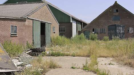 Meijerijstad wil 600.000 euro uitrekken om van lege stallen in haar buitengebied af te komen.