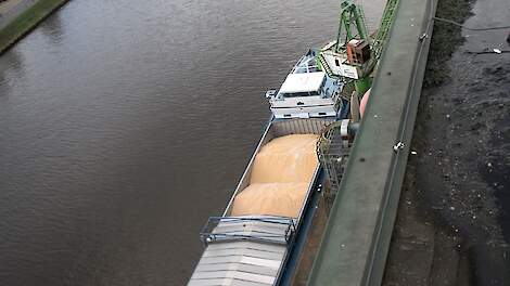 Een binnenvaartschip transporteert Latijns-Amerikaanse soja naar een veevoerfabrikant in Nederland.
