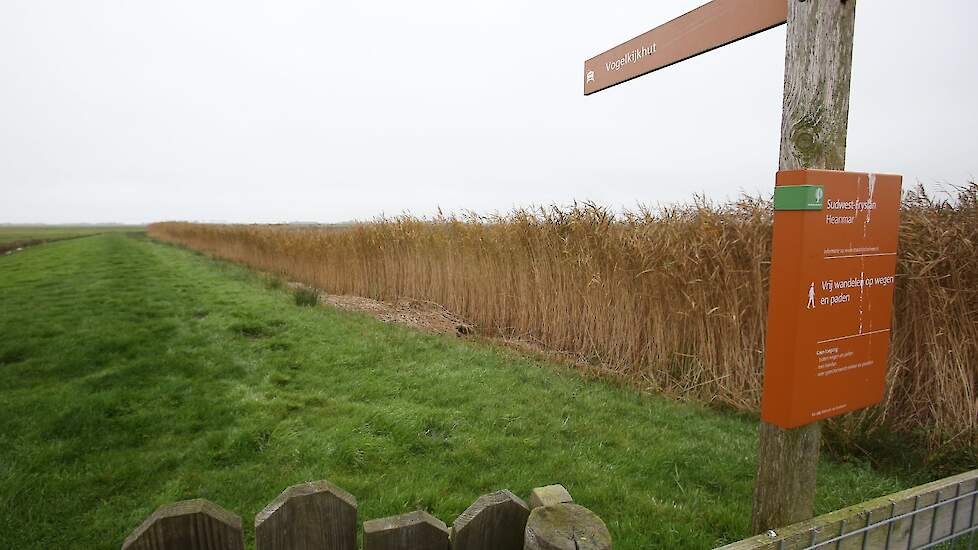 Afbeelding van natuur in Friesland ter illustratie.