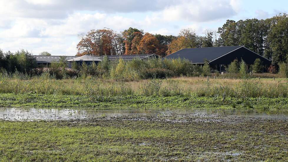 Een willekeurige veehouderij in de buurt van een Natura 2000-gebied.