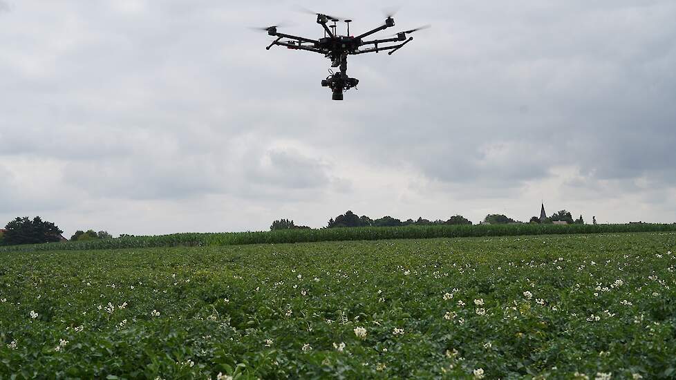 „Sensoren op de drones helpen om de ziekte in een zo vroeg mogelijk stadium detecteren in het veld.”