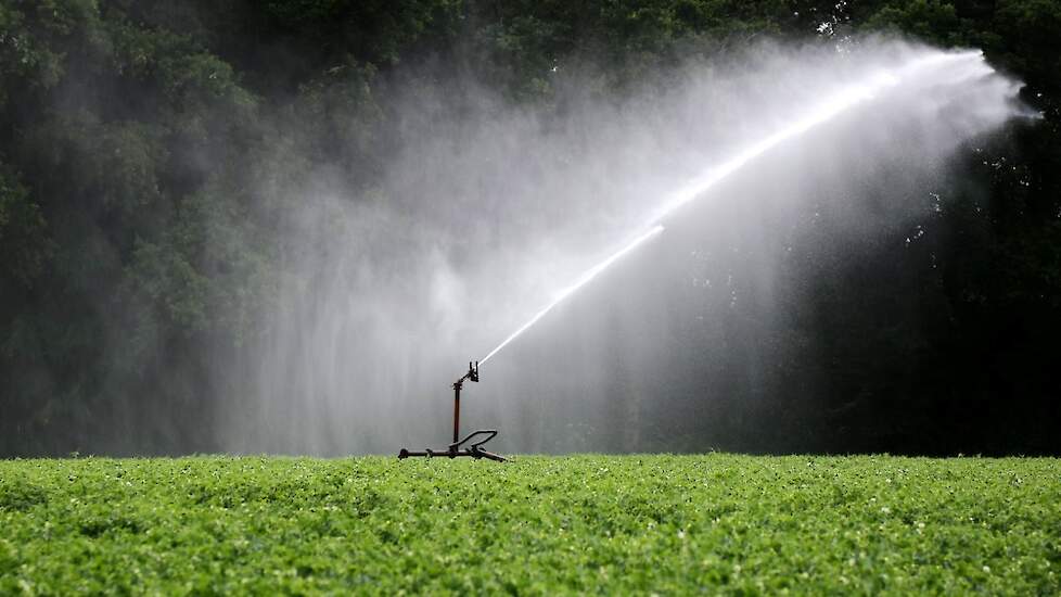 „De watergift bij druppelirrigatie komt bijna helemaal ten goede van de plant, terwijl dat bij de conventionele technieken in Vlaanderen maar rond de 60 tot 70 procent ligt.”