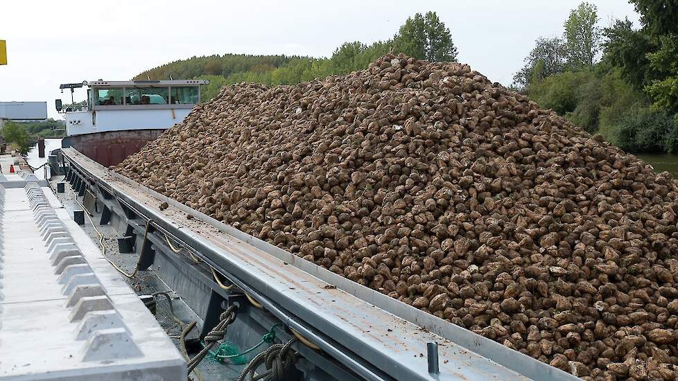 schip geladen met bieten