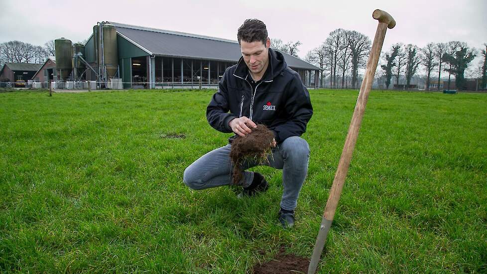 Stefan te Selle werkt veel met grassen gecombineerd met kruiden. Dit zorgt voor meer verscheidenheid in de beworteling, een betere bodemstructuur en meer watervasthoudend vermogen.