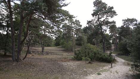 Onteigening van boerenbedrijven rond het Ulvenhoutse Bos, terwijl grote industriële bedrijven fictieve stikstofrechten zouden kunnen verhandelen.