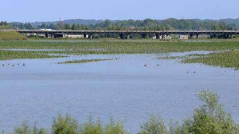 Diverse percelen in Zuid-Nederland liepen volledig onder water na overstromingen afgelopen zomer.