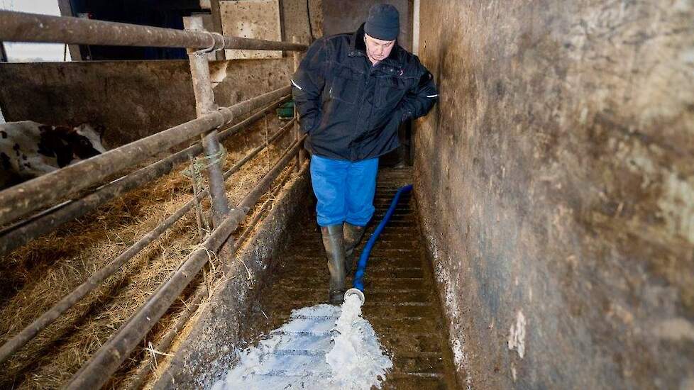 De Friese melkveehouder Jelle Kraak laat sinds 11 november dagelijks de melk wegstromen in de put.