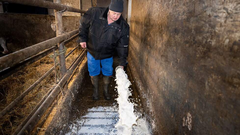 Een dagelijks terugkerend ritueel voor Jelle Kraak: na elke melkbeurt gaat de melk in de put.