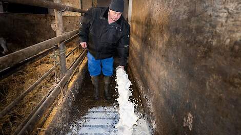 Een dagelijks terugkerend ritueel voor Jelle Kraak: na elke melkbeurt gaat de melk in de put.