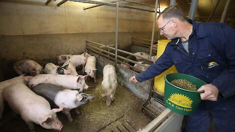 Bert Ekkel: „We moeten veel meer naar de behoeftes van het varken gaan kijken en daar via hokverrijking invulling aan geven.”