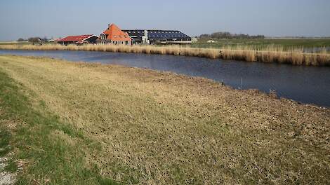 Een boerderij in Eilandspolder.