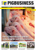 Cover Vakblad Pig Business › Editie 2022-01