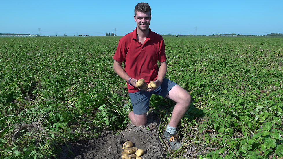 Jonge akkerbouwer in aardappelveld in provincie Zeeland, Nederland