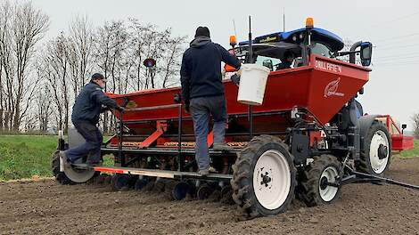 plantuien planten