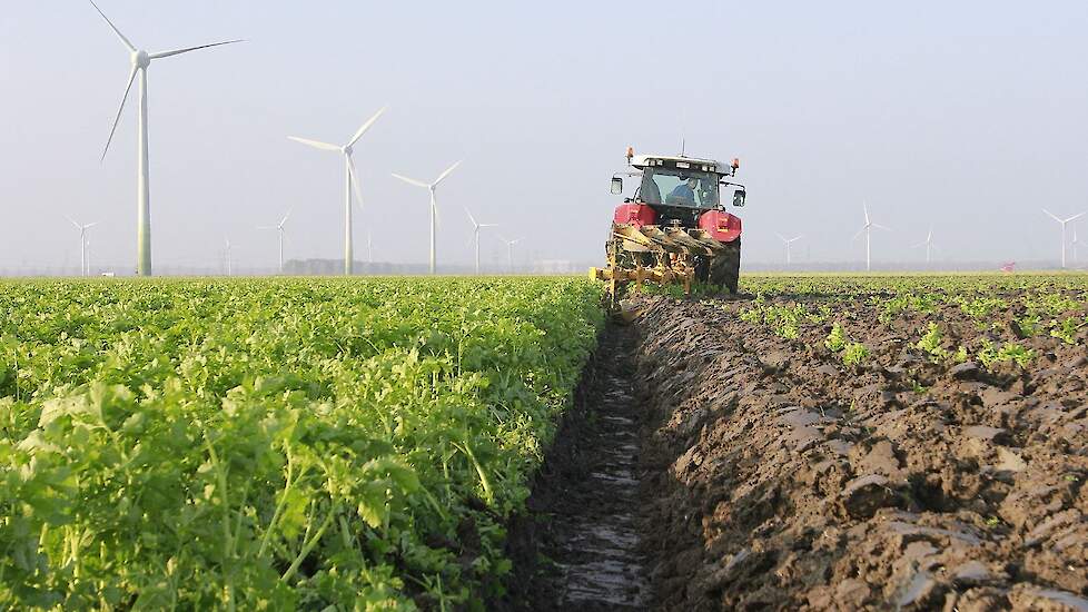 Groenbemester mechanisch onderwerken als mogelijk alternatief voor glyfosaat.