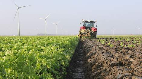 Groenbemester mechanisch onderwerken als mogelijk alternatief voor glyfosaat.